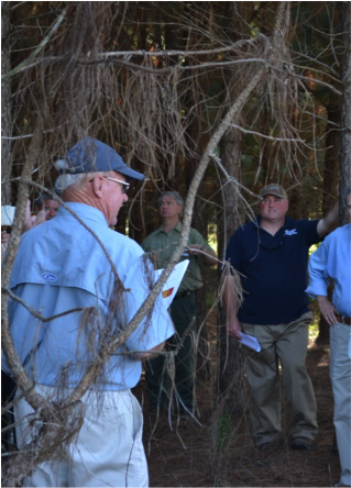 Forestry Research